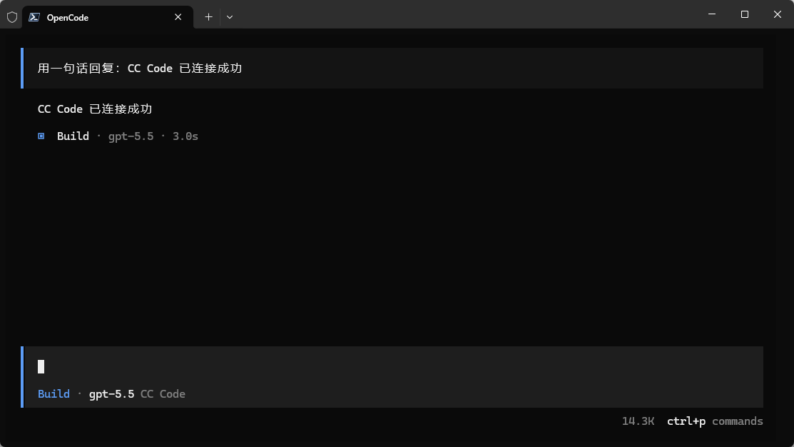 测试 OpenCode 对话